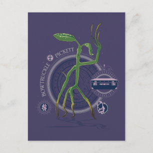 PICKETT™-grafikkortet BOWTRUCKLE™ Vykort