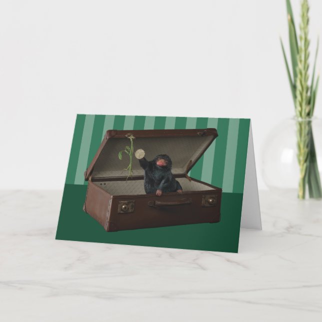 Pickett & Teddy i Briefcase Kort (Framsida)