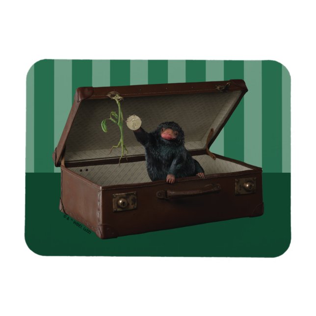 Pickett & Teddy i Briefcase Magnet (Horisontell)
