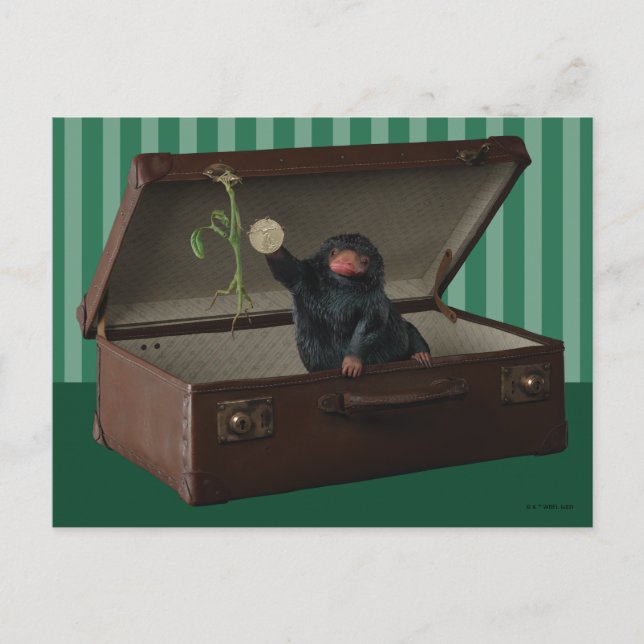 Pickett & Teddy i handväskan Vykort (Framsida)