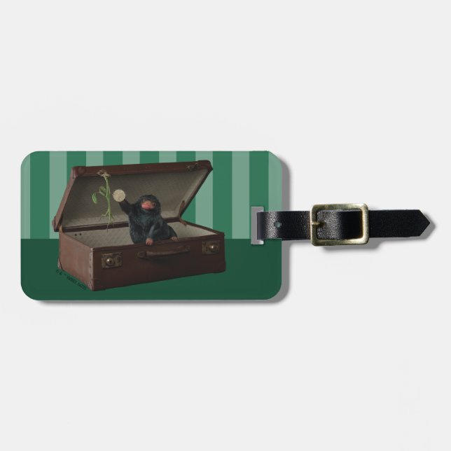 Pickett & Teddy in Briefcase Bagagebricka (Horisontell Framsida)