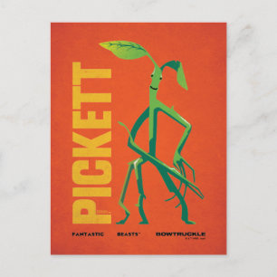 Pickett Vintage Grafik Vykort