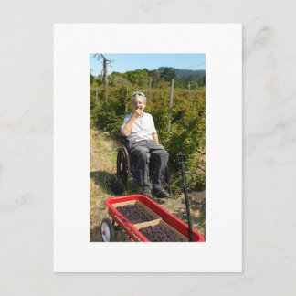 Picking Olalliebär i norra Kalifornien Vykort