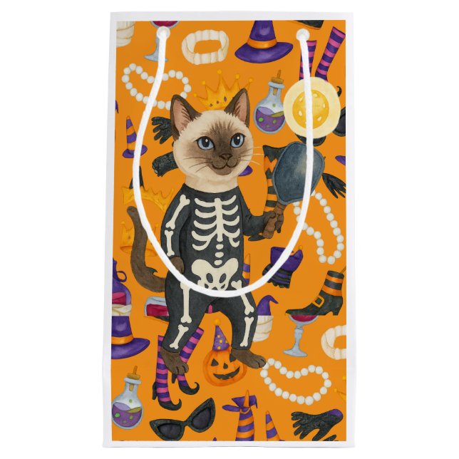 Pickleball halloween fest för kattälskare (Framsidan)