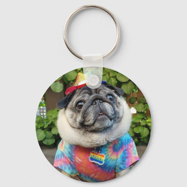 Pickles Colorful Keychain Nyckelring (Framsida)