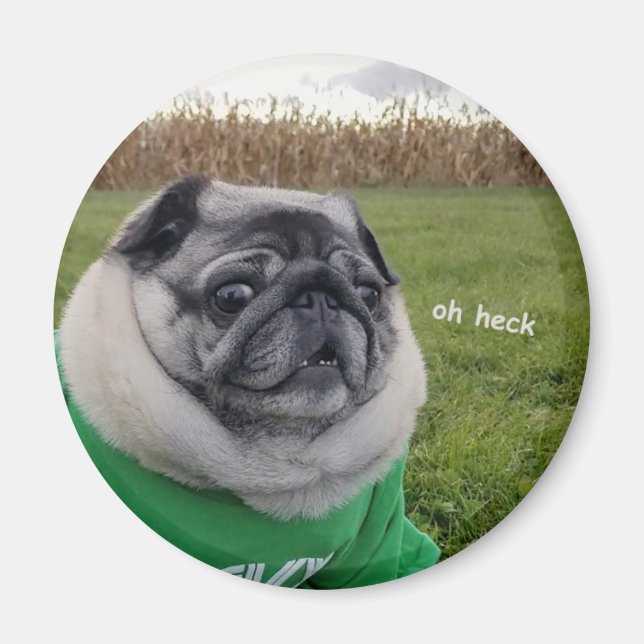 Pickles Heck Magnet (Framsidan)