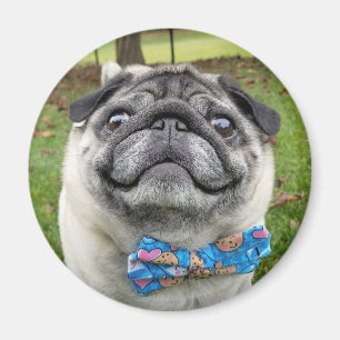 Pickles Magnet