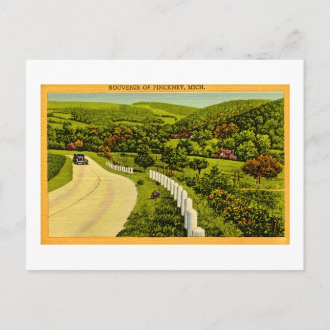 Pickneys Souvenir, MI-Vintage Vykort (Framsida)