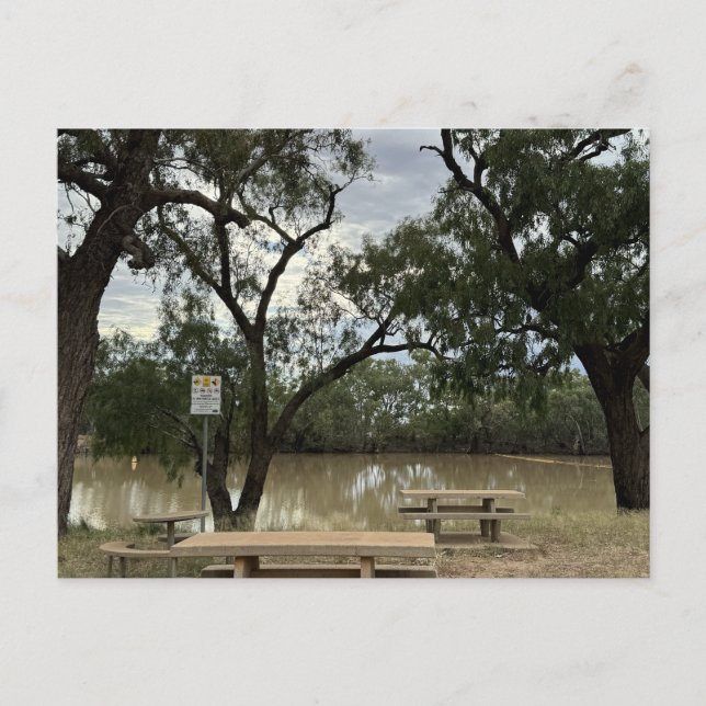 Picnic Area på Tannock Weir. Vykort (Framsida)