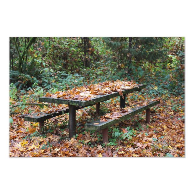 Picnic Bench 19-tums x 13-tums fotoutvidgning Fototryck (Framsidan)