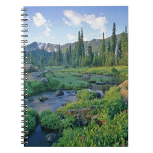 Picnic Creek i Jewel Basin i Swan Anteckningsbok Med Spiral