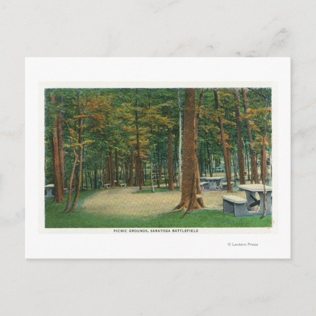 Picnic Grounds View of Saratoga Battlefield Vykort (Framsida)