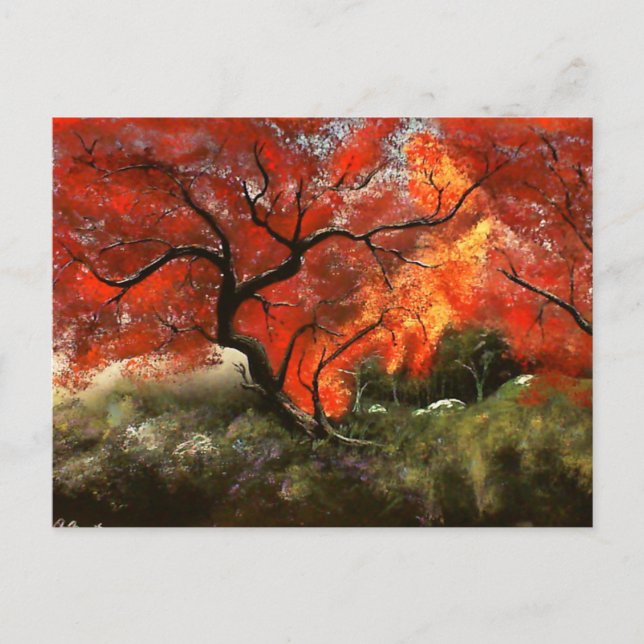 Picnic Träd Vykort (Framsida)