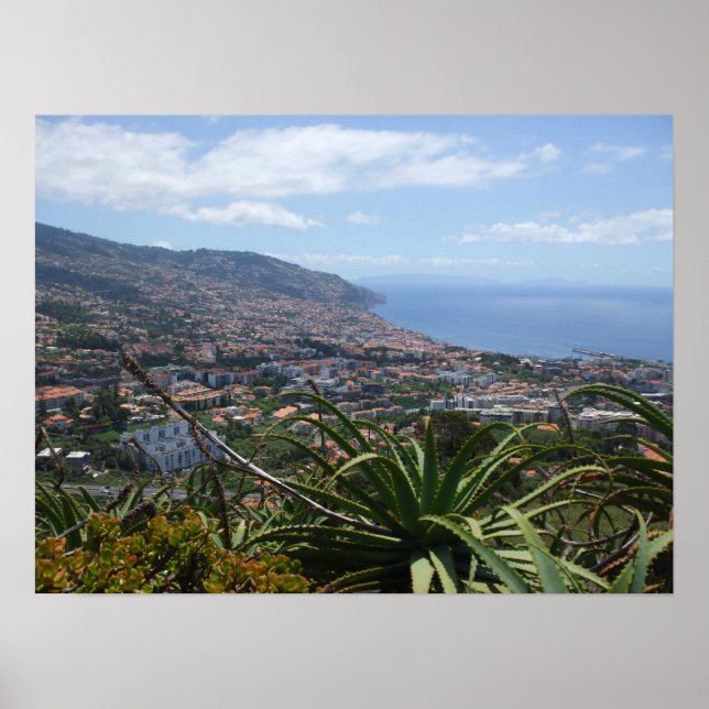 Pico dos Barcelona II Poster (Framsidan)