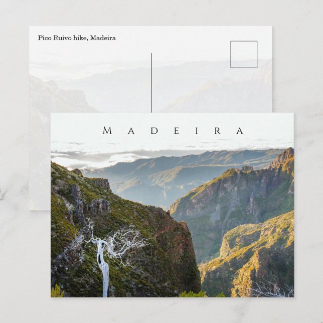 Pico Ruivo hike landscape, Madeira travel Vykort (Fram/baksida)