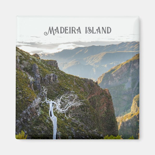 Pico Ruivo vandringslandskap, Madeira resa Magnet (Framsidan)