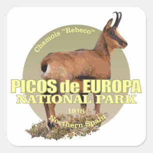 Picos de Europa NP (stenget) VIKT Fyrkantigt Klistermärke