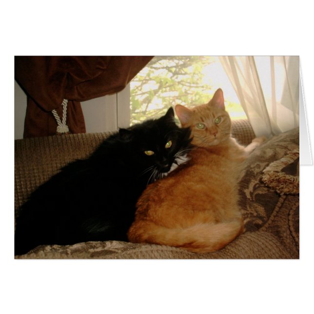 PICT0017 Kattunge och Tishabella Hälsningskort (Framsidan Horizontal)