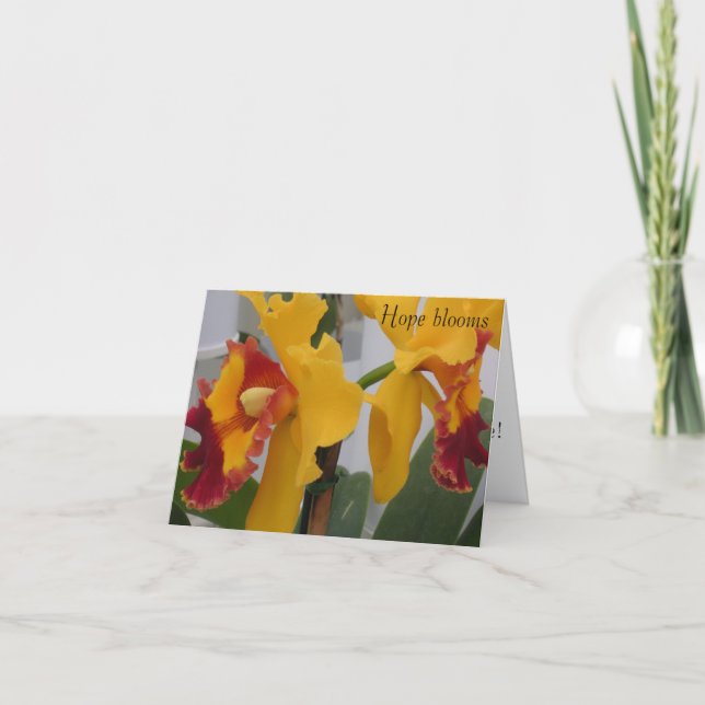 PICT0396, Hoppblommor Tack Kort (Framsida)