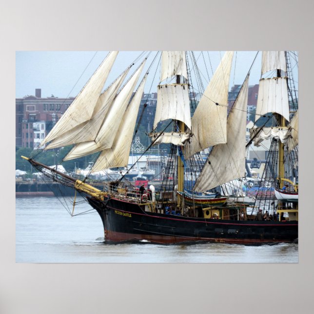 Picton Castle Cook-öarna Poster (Framsidan)