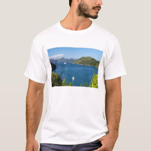 Picton hamn, Marlborough Sounds, söder T Shirt