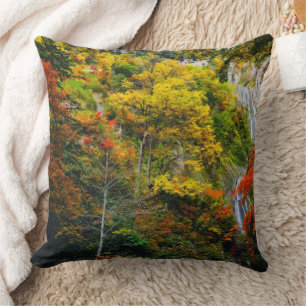 Picturesque View of Fall Hagoromo Falls Hokkaido Kudde