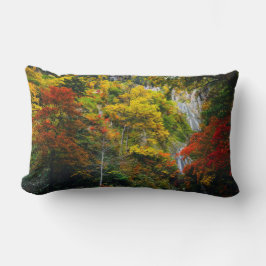 Picturesque View of Fall Hagoromo Falls Hokkaido Lumbarkudde