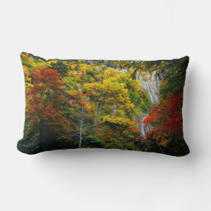 Picturesque View of Fall Hagoromo Falls Hokkaido Lumbarkudde