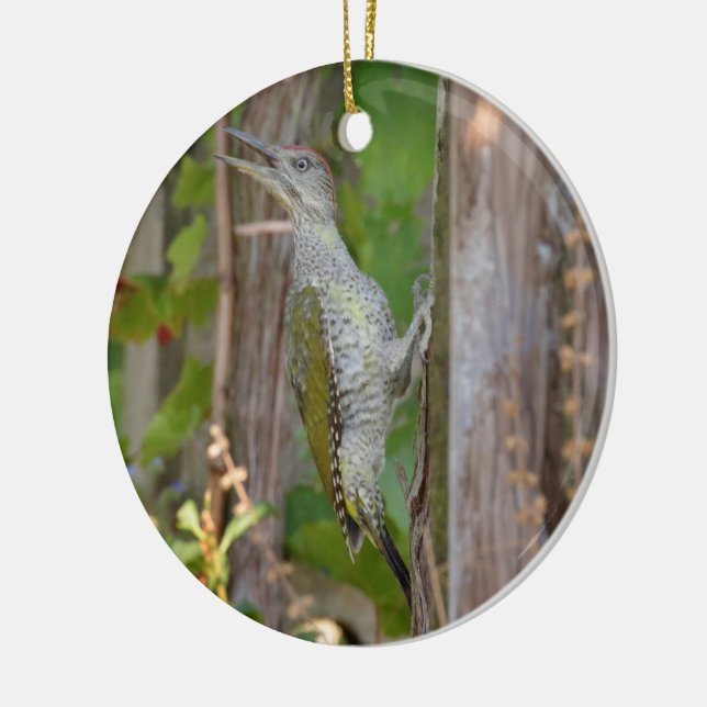 Picus Viridis - Grünspecht Julgransprydnad Keramik (Vänster)