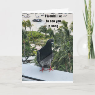 PIDGEON COOING *GRATTIS PÅ FÖDELSEDAGEN* TILL DIG! KORT