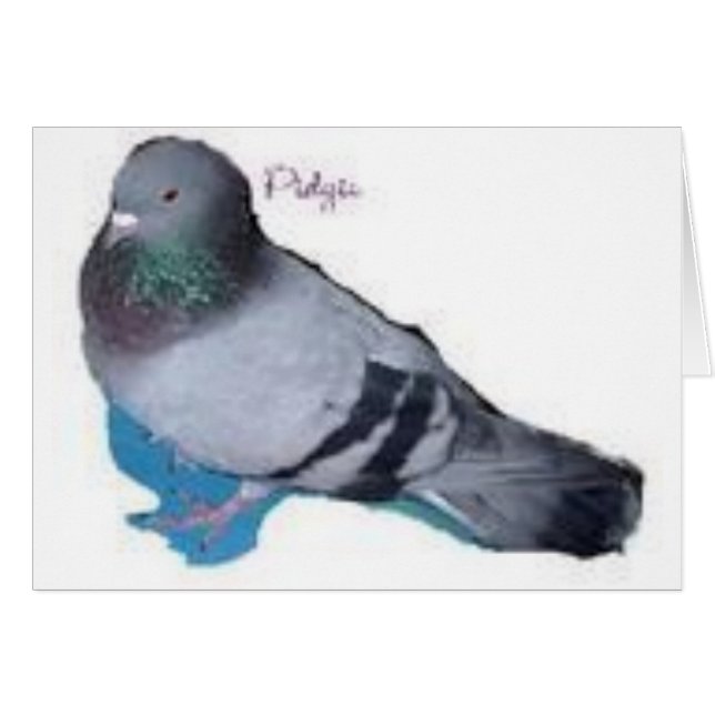 Pidgie The Pidgie Fund Pigeon Hälsningskort (Framsidan Horizontal)