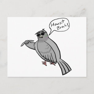 Pidgin Pigeon-vykort Vykort