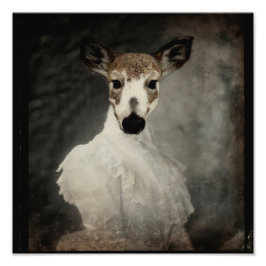 Piebald Hjort i nöd Fototryck