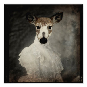 Piebald Hjort i nöd Fototryck