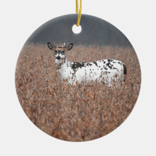 Piebald Hjort Photo Ornament (Framsidan)