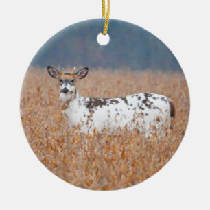 Piebald Hjort Photo Ornament