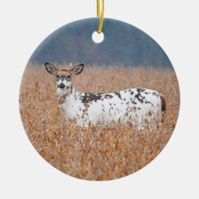 Piebald Hjort Photo Ornament (Framsidan)