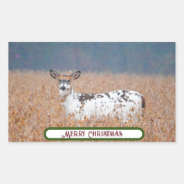 Piebald Hjort Photo Stickers Rektangulärt Klistermärke