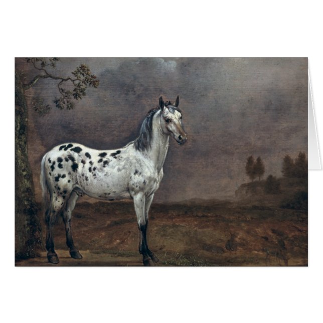 Piebald Horse, 1653 Hälsningskort (Framsidan Horizontal)
