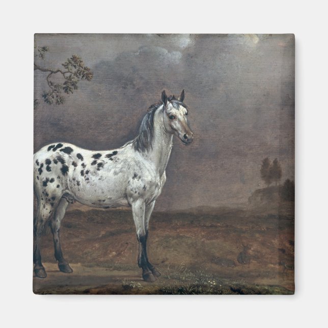 Piebald Horse, 1653 Magnet (Framsidan)