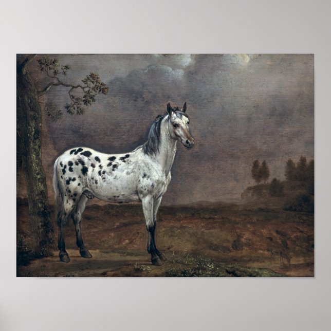 Piebald Horse, 1653 Poster (Framsidan)