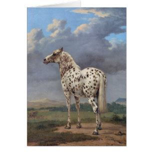 Piebald Horse Hälsningskort
