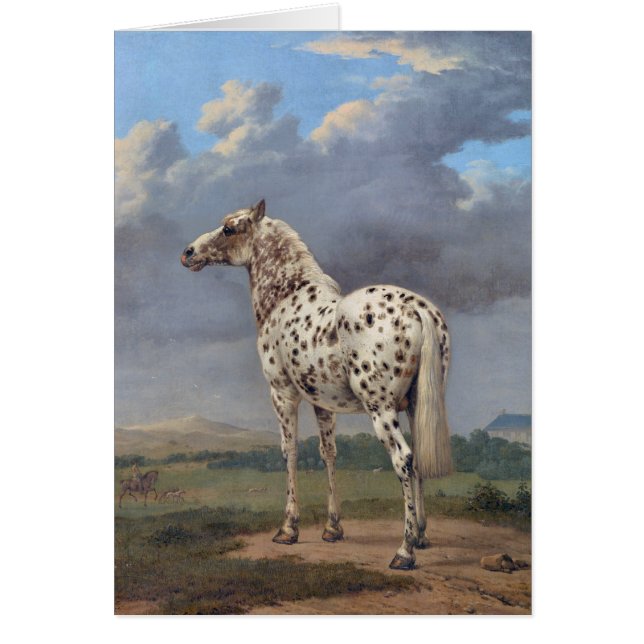 Piebald Horse Hälsningskort (Framsidan)