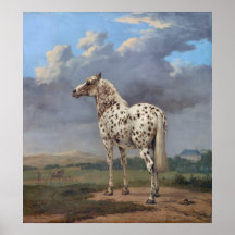 Piebald Horse