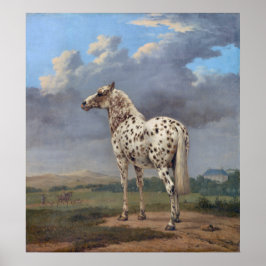 Piebald Horse Poster