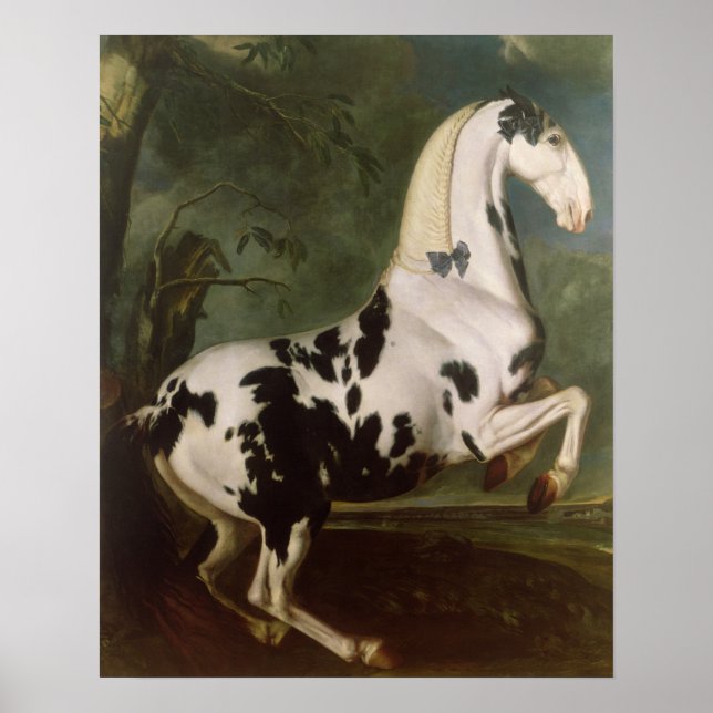 Piebald Stallion vid Eisgruber Stud Poster (Framsidan)