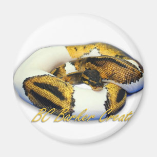 Piebaldbollpytonorm Magnet