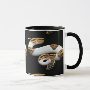 piebaldbollpytonorm mugg