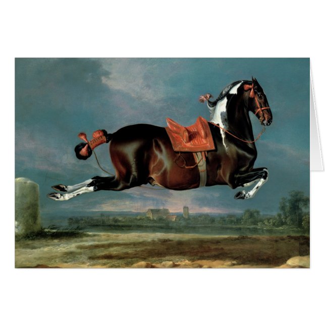 Piebaldhästen "Cehero" som fostrar Hälsningskort (Framsidan Horizontal)