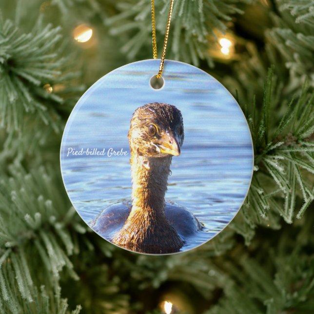 Pied-billed Grebe Fågel Ornament (Träd)